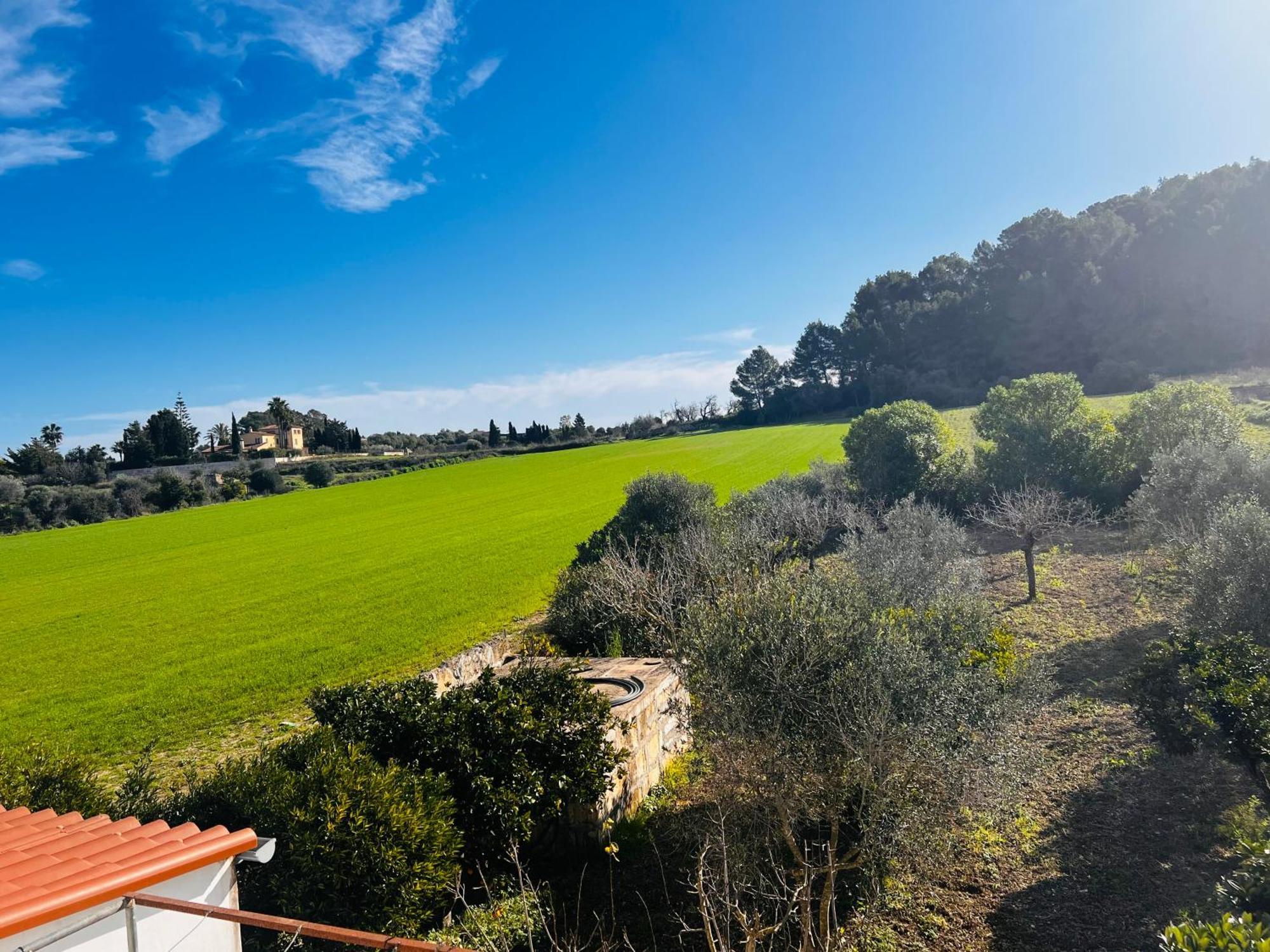 Es Puig Villa Santa Margalida Eksteriør billede