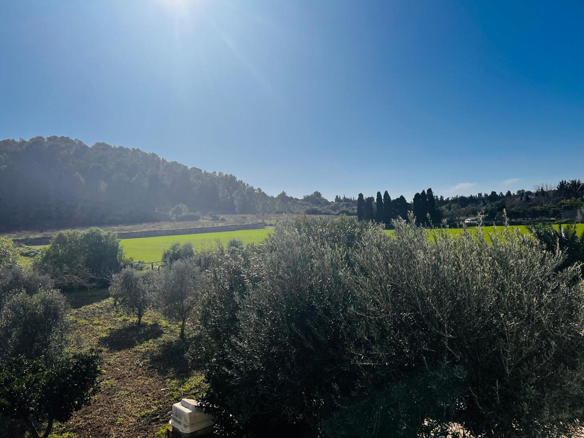 Es Puig Villa Santa Margalida Eksteriør billede