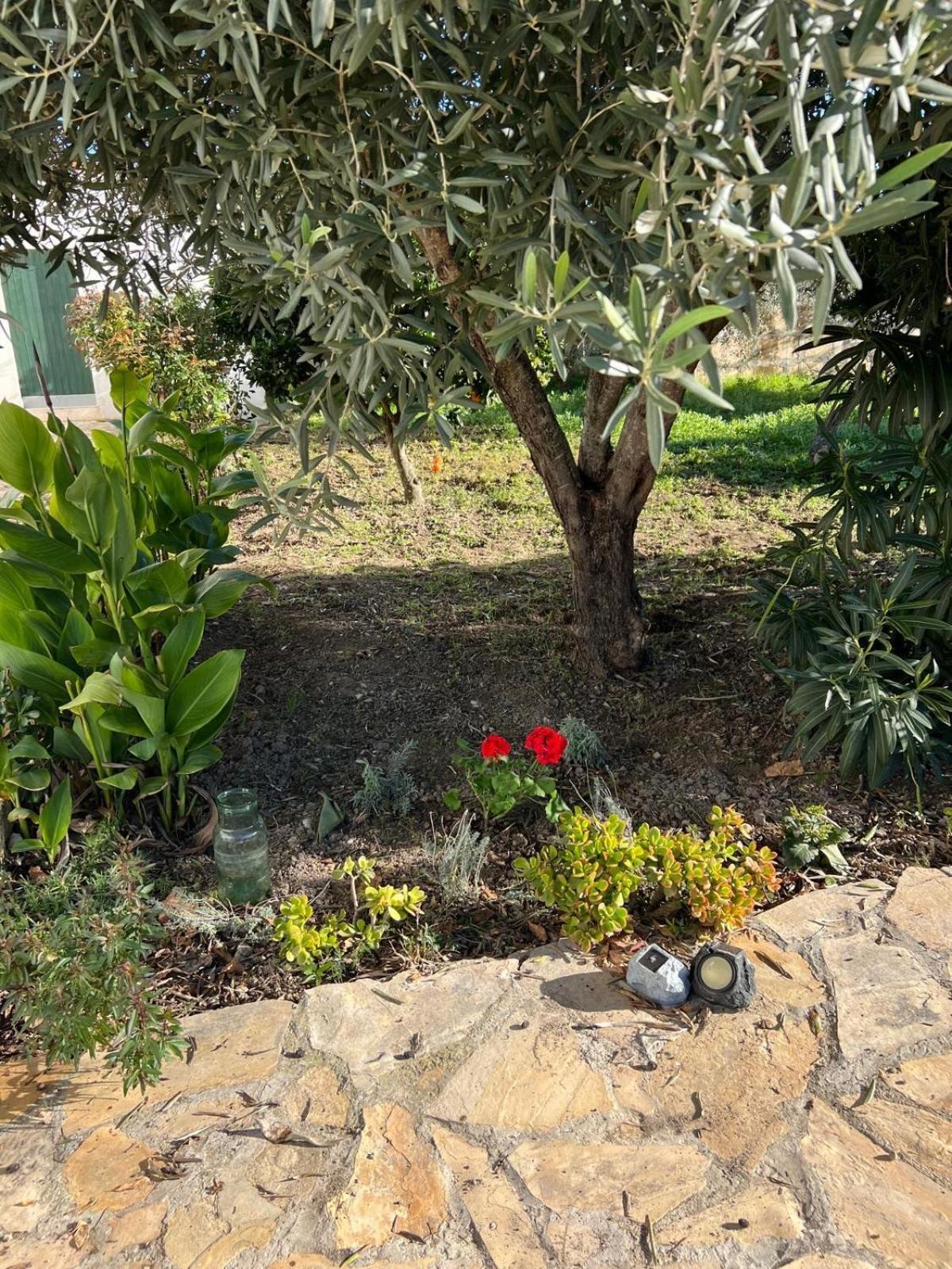 Es Puig Villa Santa Margalida Eksteriør billede