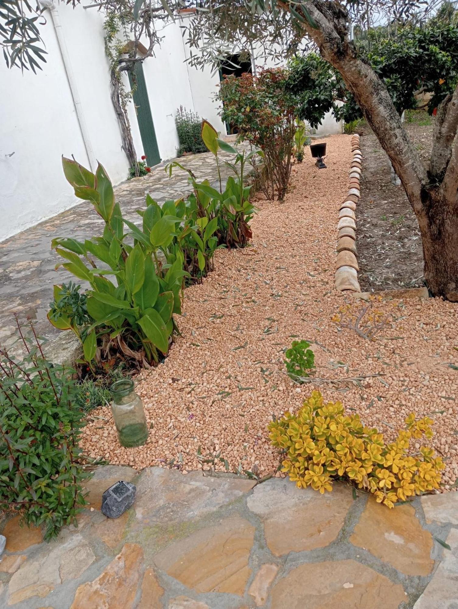 Es Puig Villa Santa Margalida Eksteriør billede